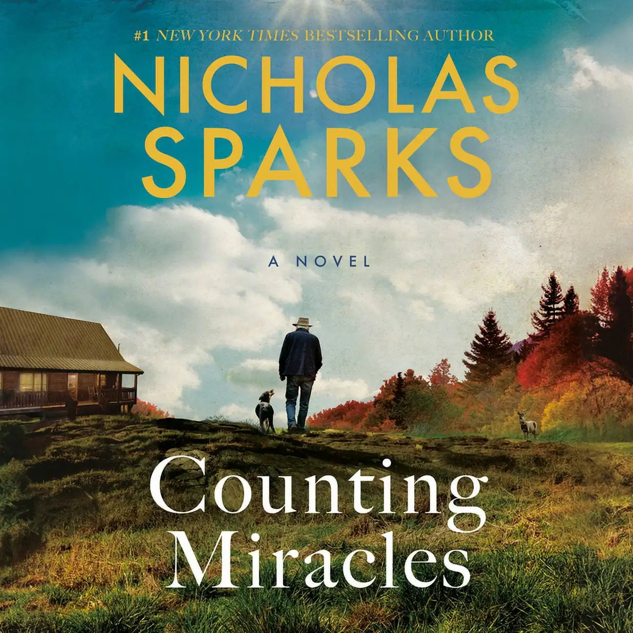 Counting Miracles : A Novel